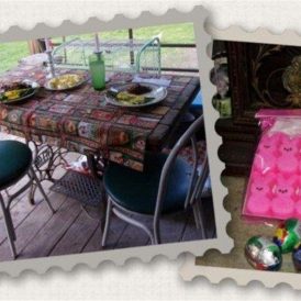 Ozark Gold: Harvesting Morel Mushrooms